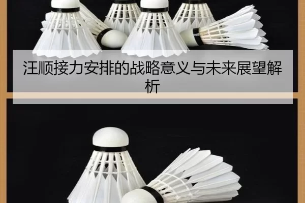 汪顺接力安排的战略意义与未来展望解析